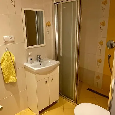 Apartman V Podhuri Jizerskych Hor Zelezny Brod Exterior photo
